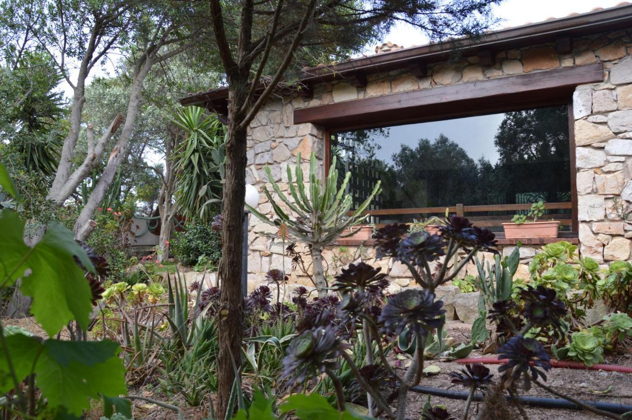 Giardino Degli Ulivi Dom wakacyjny